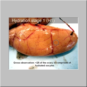 Slide10.JPG