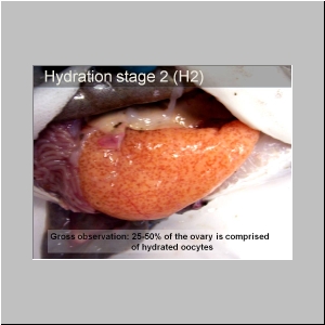 Slide11.JPG
