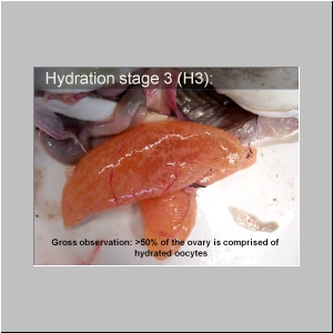 Slide12.JPG