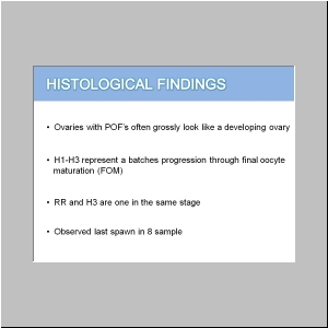 Slide14.JPG
