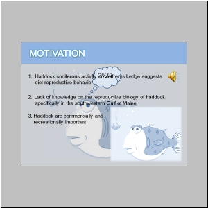 Slide4.JPG