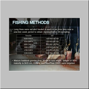 Slide7.JPG