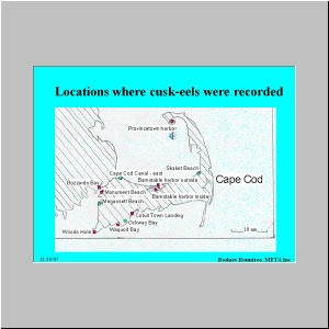 Slide10.JPG