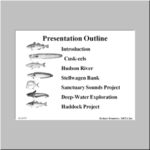 Slide2.JPG