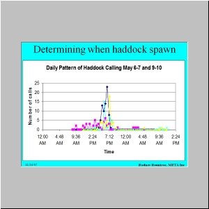 Slide32.JPG