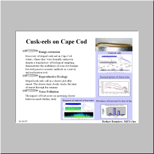 Slide9.JPG