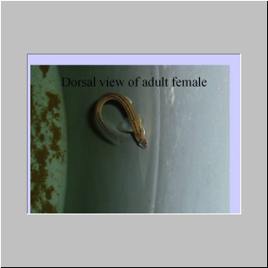 Slide12.JPG