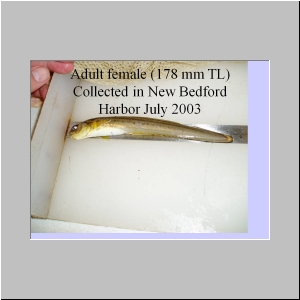 Slide13.JPG