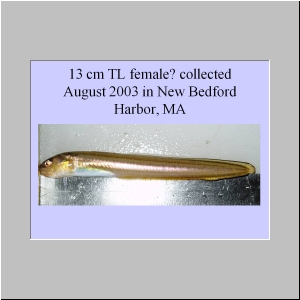 Slide14.JPG