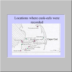 Slide15.JPG
