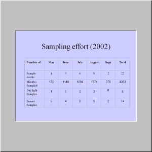 Slide16.JPG