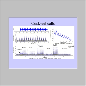 Slide21.JPG
