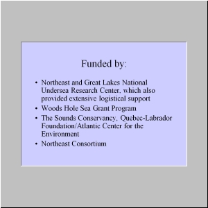 Slide29.JPG