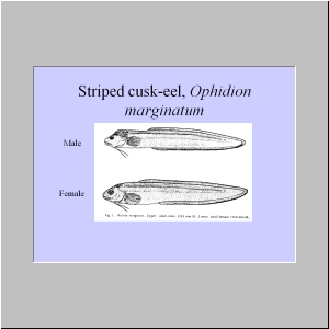 Slide2.JPG
