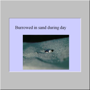 Slide3.JPG