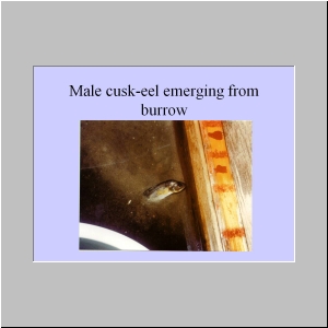 Slide4.JPG