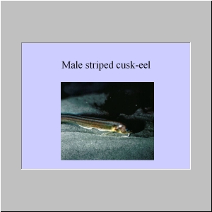 Slide5.JPG