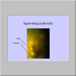 Slide6.JPG