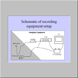 Slide8.JPG
