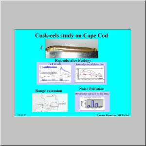 Slide13.JPG