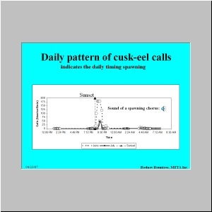 Slide14.JPG