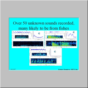 Slide18.JPG