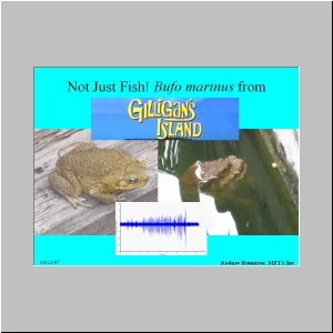 Slide19.JPG