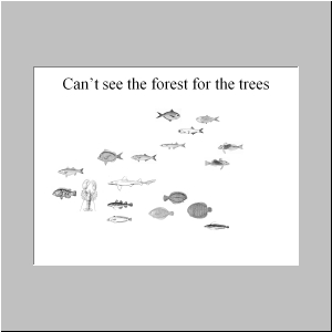 Slide10.JPG