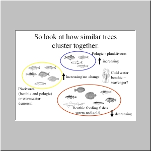 Slide11.JPG