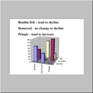 Slide15.JPG