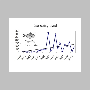 Slide24.JPG