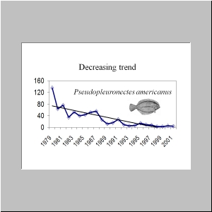 Slide25.JPG