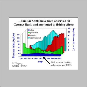 Slide6.JPG