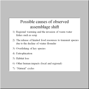 Slide7.JPG