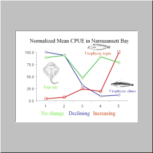 Slide8.JPG