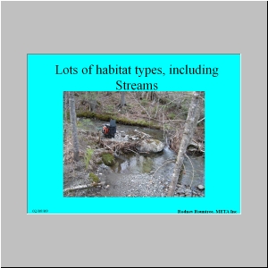Slide18.JPG