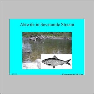 Slide46.JPG