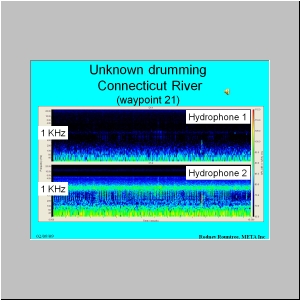 Slide66.JPG