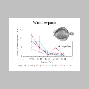 Slide9.JPG