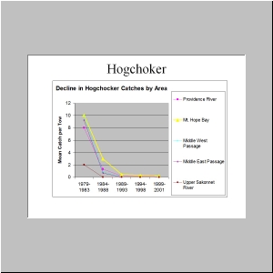 Slide19.JPG