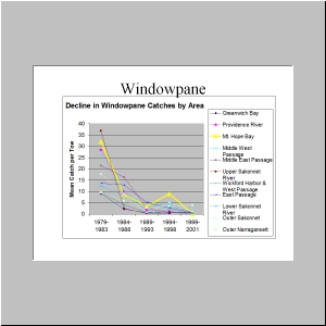 Slide20.JPG
