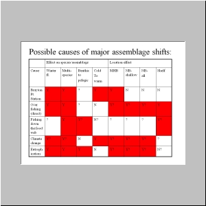 Slide26.JPG
