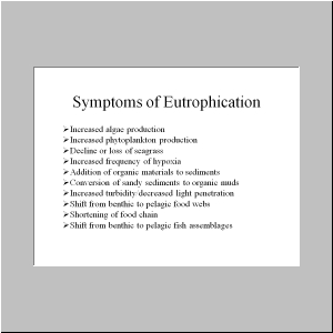 Slide27.JPG