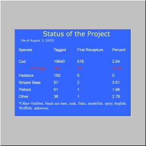 Slide11.JPG