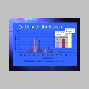 Slide13.JPG