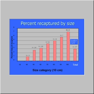 Slide14.JPG