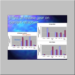 Slide21.JPG