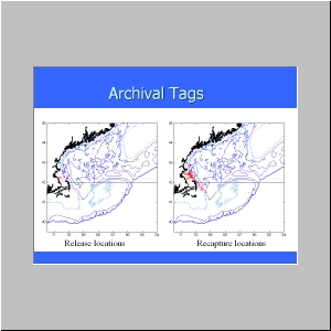 Slide29.JPG