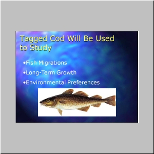 Slide4.JPG
