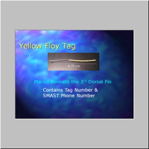 Slide5.JPG